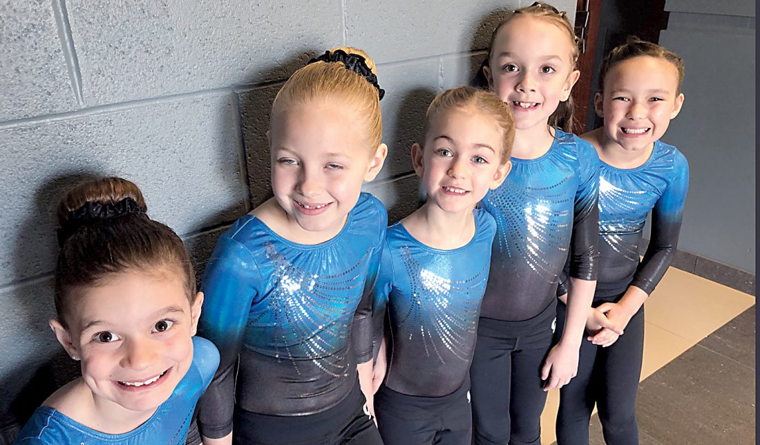 Tumble Time gymnasts compete in state meet News, Sports, Jobs The